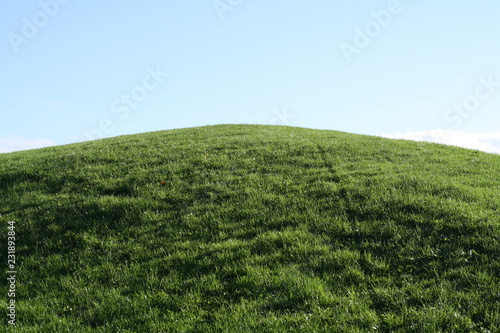 Grassy Hill Crest