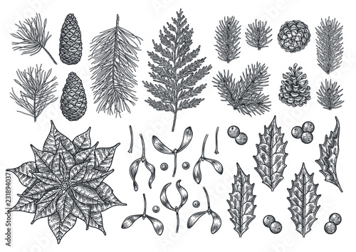 Christmas object set. Hand drawn vintage illustration. Xmas collection.