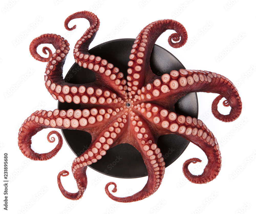 Beautiful of a squid tentacles on dish isolated on white background