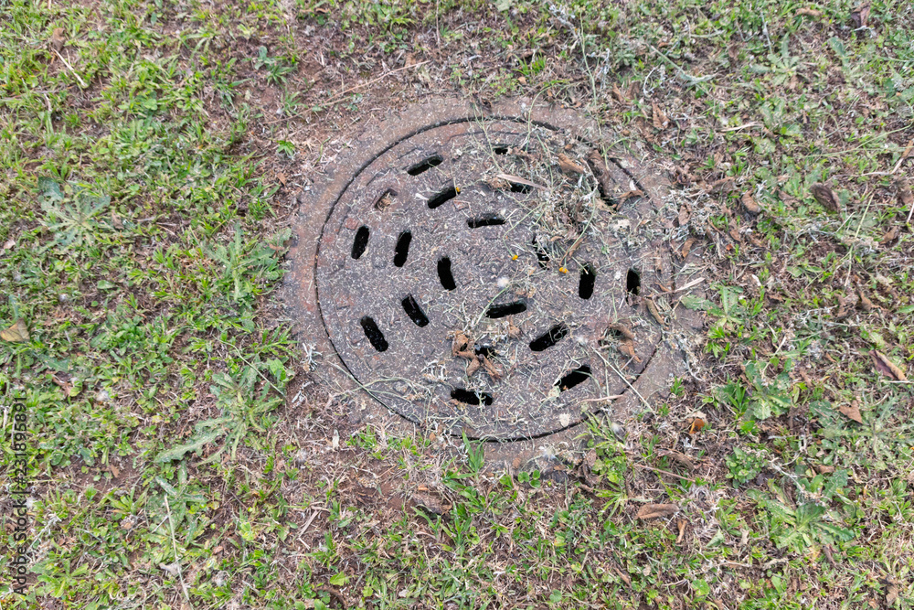 A Man Hole Covered in Dired Grass A Man Hole Covered in Dired Grass