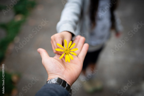 黄色い花を手渡す親子
