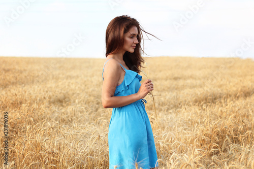Fototapeta Naklejka Na Ścianę i Meble -  Beautiful cute brunette lady in a wheat field at sunset in a blue dress