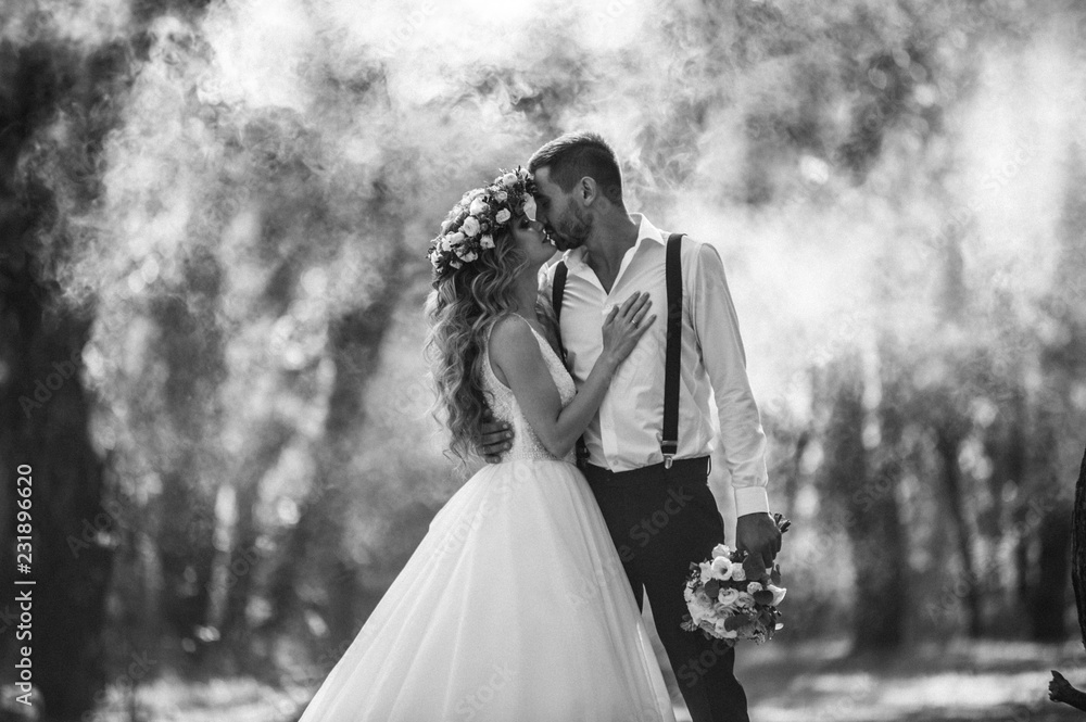 bride and groom on the background of fairy fog in the forest. Rustic wedding concept