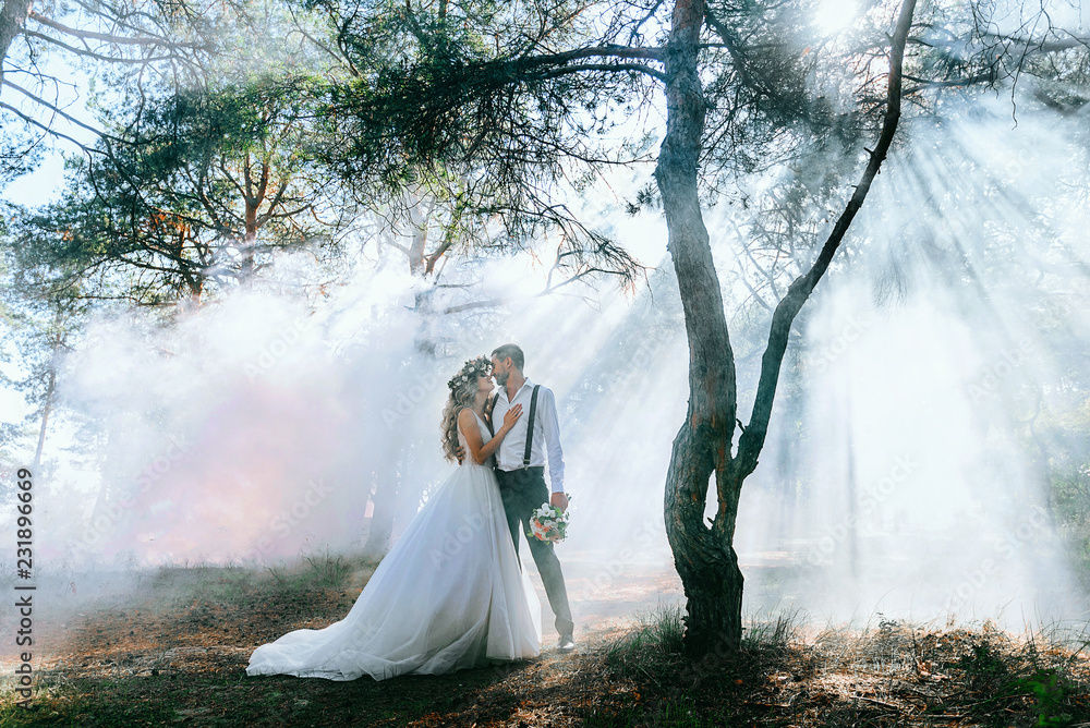 bride and groom on the background of fairy fog in the forest. Rustic wedding concept