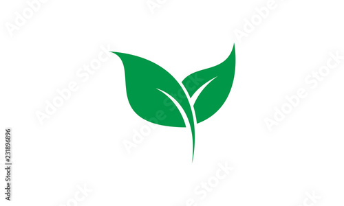 Nature leaf icon