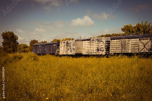 Freight train wagons abandoned in the field. Transportation of goods.