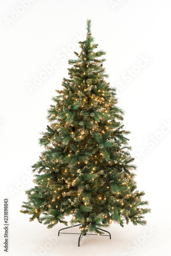 christmas tree isolated on white © Douglas Gingerich