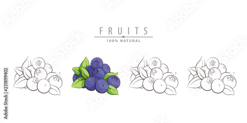 Fresh blueberry on white