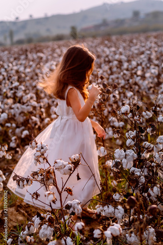 Little girl in cotton field