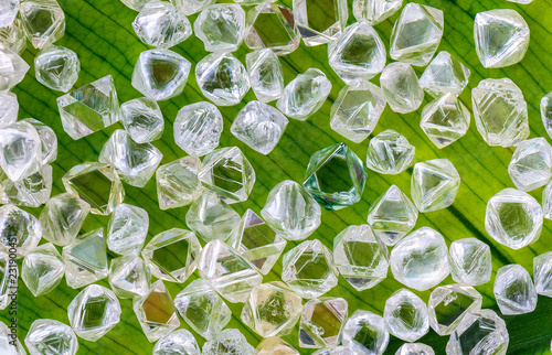 Tableau sur toile rough uncut crystals of diamonds on background of green leaves
