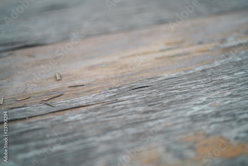 Wooden texture and background