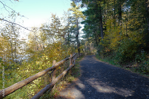 The scenery of autumn