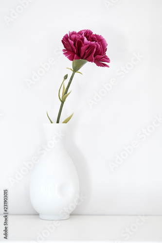 single purple carnation in vase