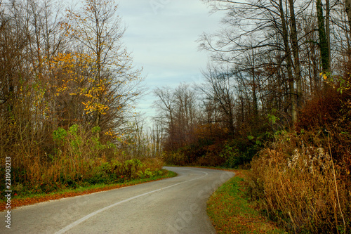 Beautiful view of mountain road through forest in autumn. Mountain Goc near the Vrnjacka Banja in Serbia photo