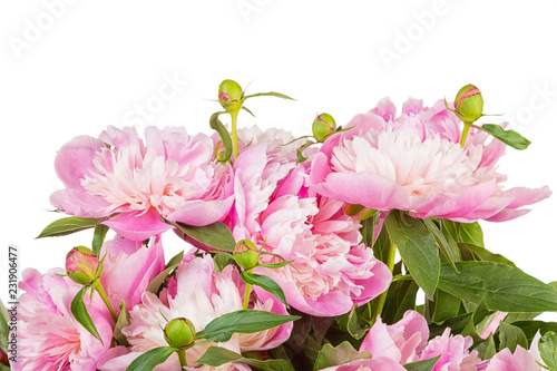 Bouquet of pink peonies on a white gradient background © Shchipkova Elena