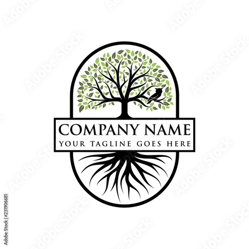 Abstract vibrant tree logo design, root vector - Tree of life logo design inspiration
