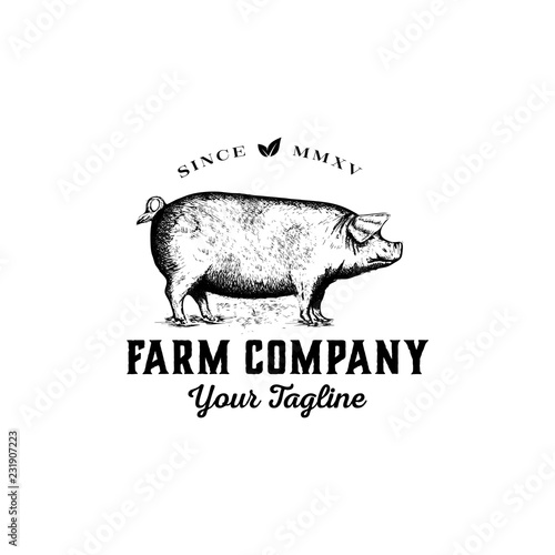 Hand drawn farm logo design vector - vintage pig logo design inspiration - bacon logo design 