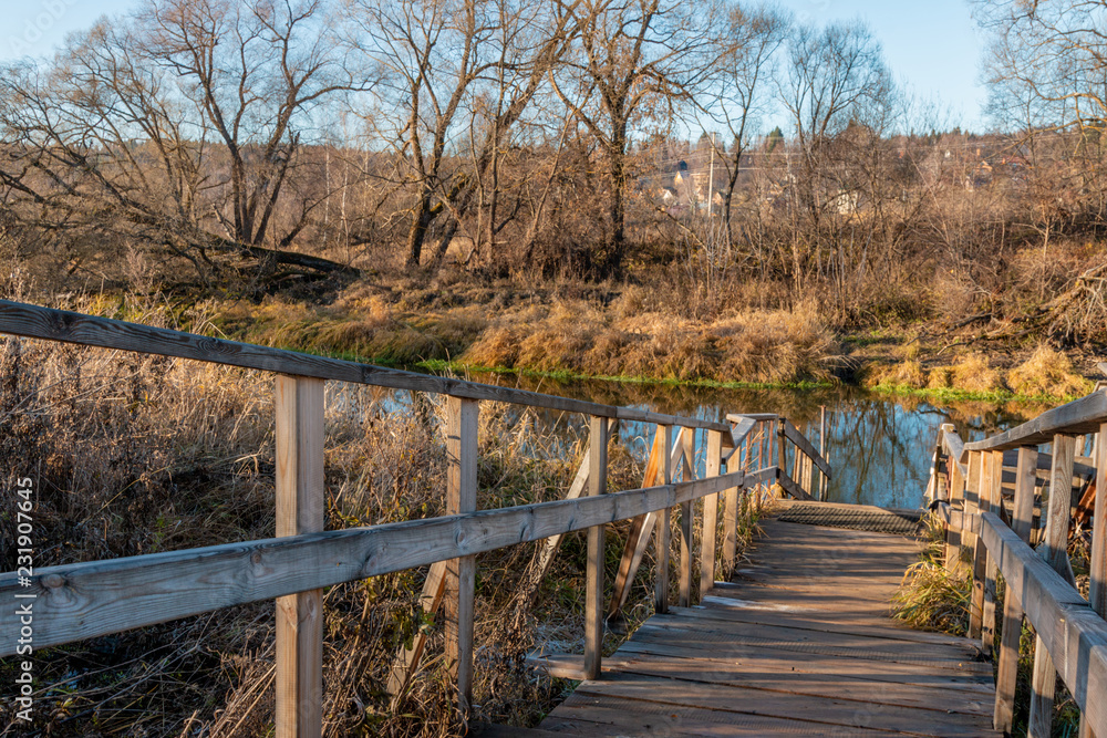 Fototapeta premium autumn field