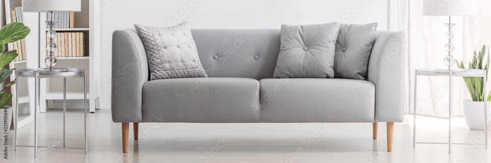 Light Grey Sofa With Cushions In Real