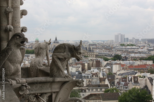 Overlooking Paris from Notre Dame Cathedral