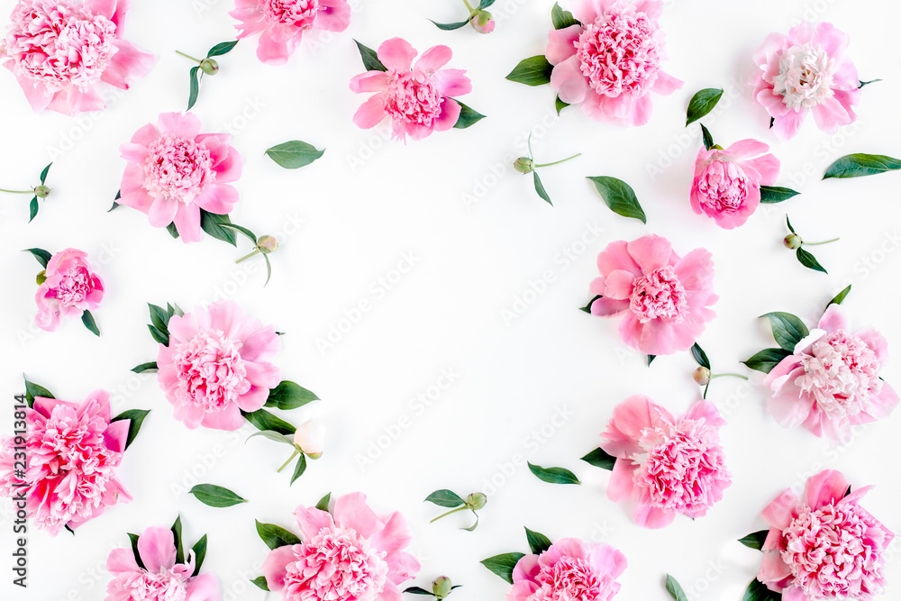 Frame of pink  peony flowers with space for text on white background. Peony texture. Flat lay, top view. 
