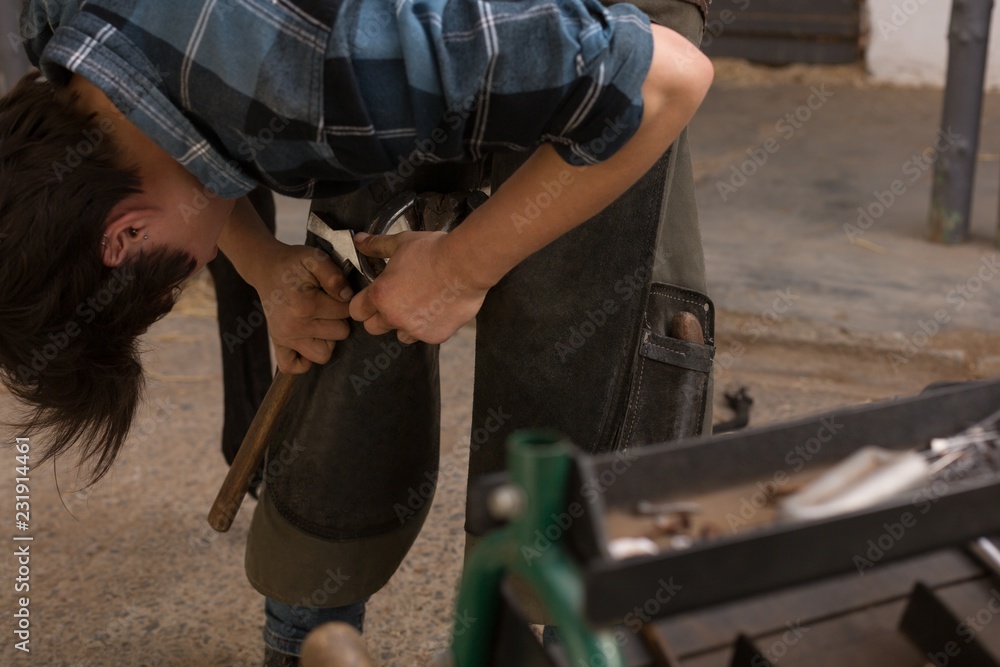 Woman putting horseshoes in horse leg Woman putting horseshoes in horse leg