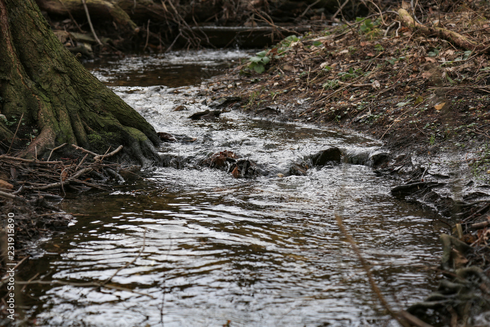 Flussbett, Bach, wasser, fliessend, Wald Flussbett, Bach, wasser, fliessend, Wald