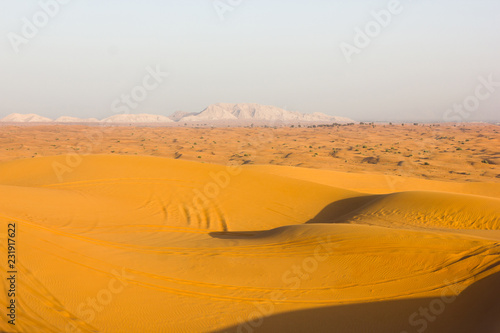 The desert landscape of yellow sand and mountains in the background