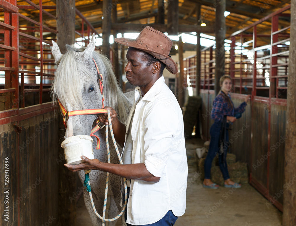 Positive couple feeding horses  in stable