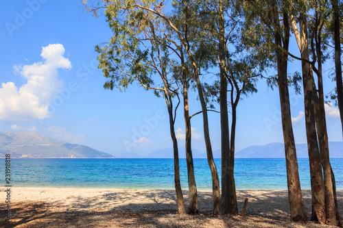 Landscape with cypresses by the sea