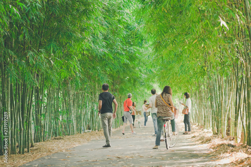 Happiness couple ride a bicycle in the bamboo park