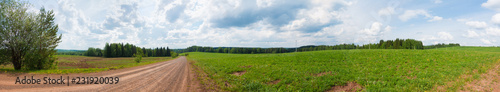 Panorama of a meadow with green grass and trees