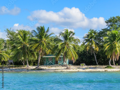 La Romana, Dominican Republic - Beautifull Beach with tropical palms and white sand of a typical tropical island of the caribbean