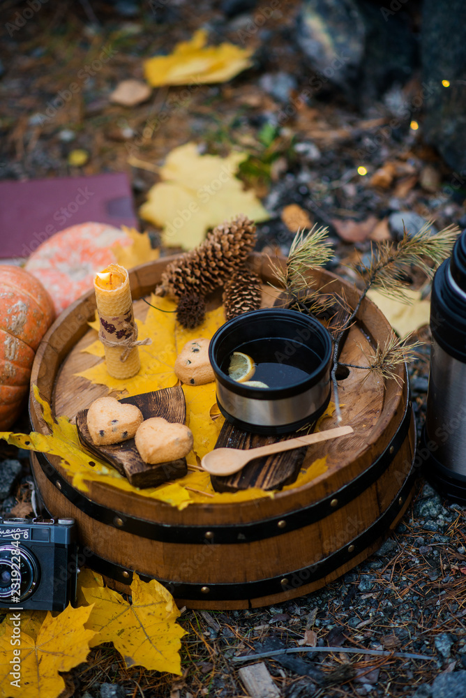 Autumn picnic by the fire in nature: coffee pot, waffles, fire, stylishly served in the style of hugge.