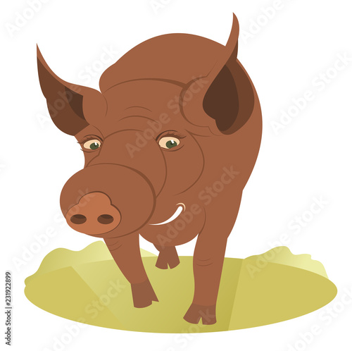 Cartoon pig illustration. Smiling cartoon pig on the lawn illustration 

