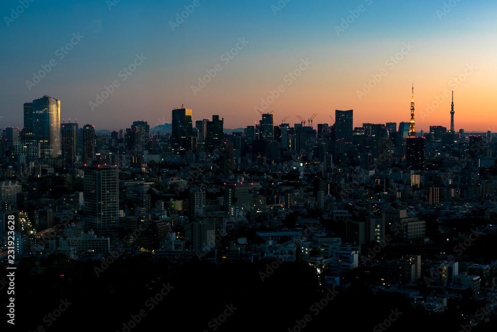 Obraz premium 東京のブルーアワー