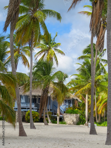 La Romana  Dominican Republic - Beautifull Beach house with tropical palms and white sand of a typical tropical island of the caribbean