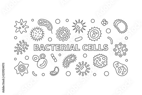 Bacterial cells horizontal banner. Vector outline illustration