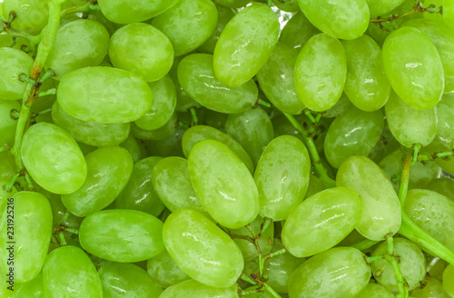 Bunches of green grapes with water drops background texture, closeup © Илья Подопригоров