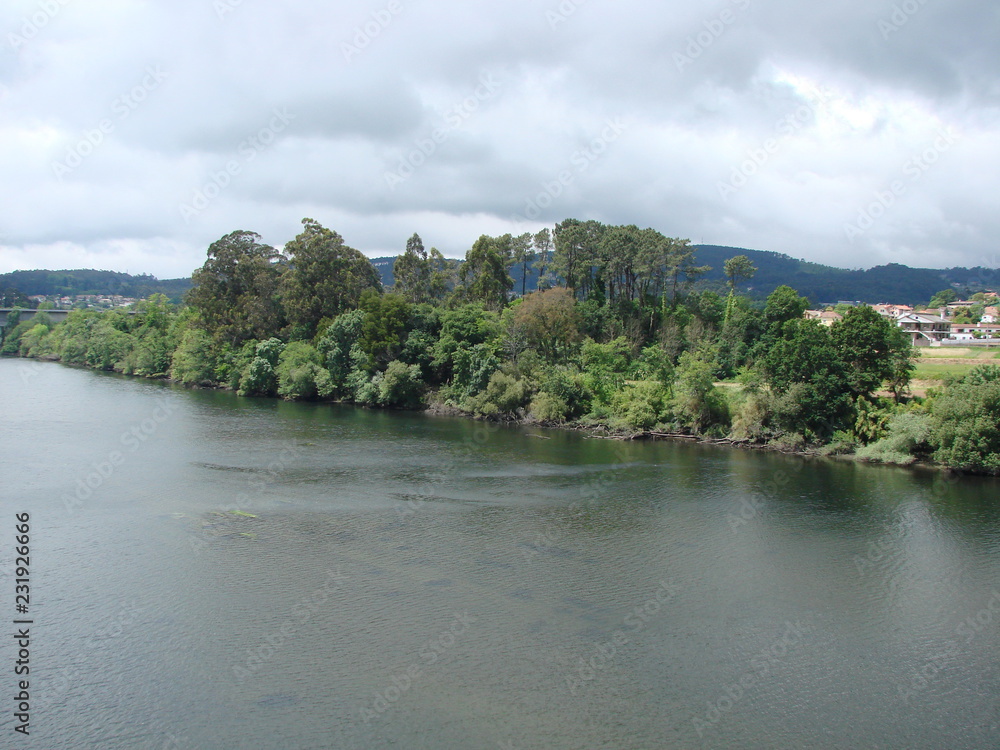 Panorama of the river bank covered with green dense trees under the rays of the sun against the background of the cloudy sky.