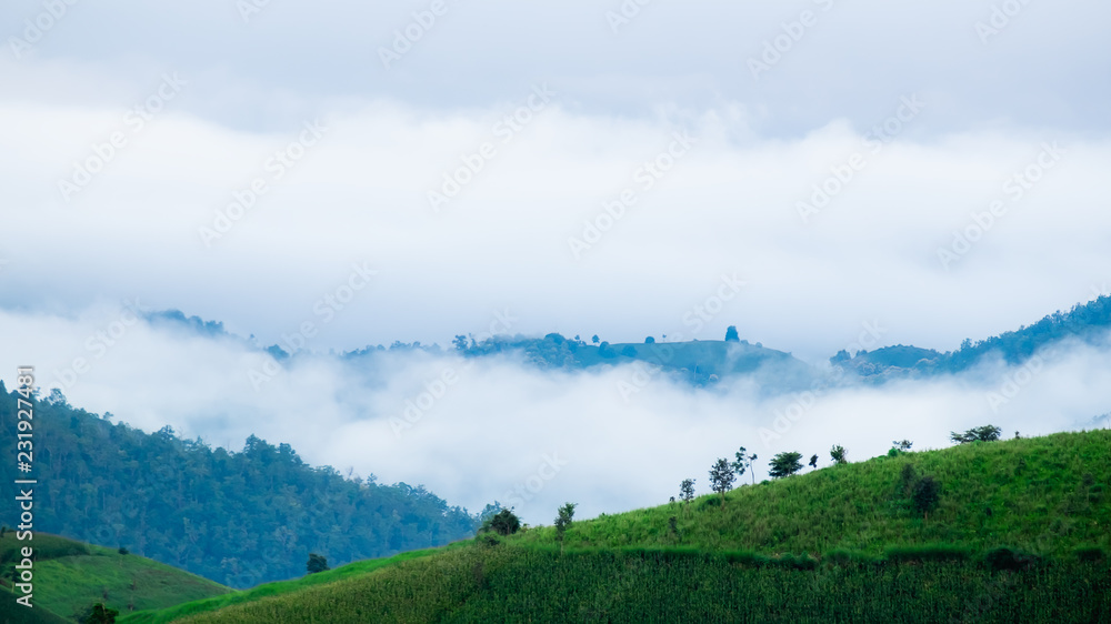Obraz premium The view of rice terrace with fog on mountains background