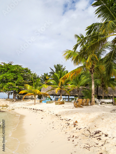 La Romana, Dominican Republic - Beautifull Beach with tropical palms and white sand of a typical tropical island of the caribbean