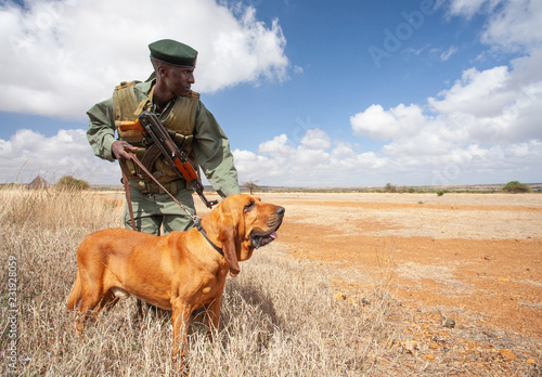 Anti-poaching Dog Training photo