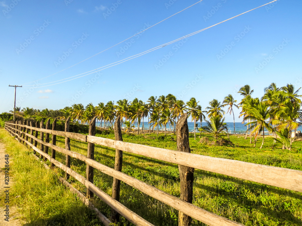 La Romana, Dominican Republic - Beautifull coast with tropical palms and white sand in the beach of a typical tropical island of the caribbean La Romana, Dominican Republic - Beautifull coast with tropical palms and white sand in the beach of a typical tropical island of the caribbean