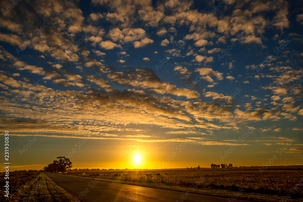 Sunst on th pasture fields in Mar del Plata     