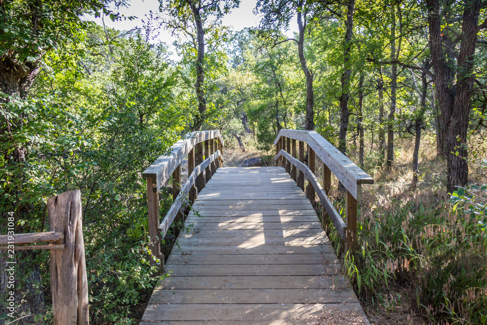 wooden bridge in the forest wooden bridge in the forest