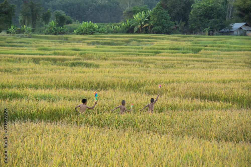 Asia children are running into the field on the farmland at countryside. Asia children are running into the field on the farmland at countryside.
