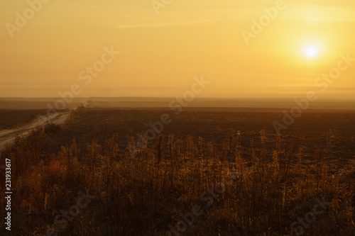 Dry autumn grass in a meadow in the fog at dawn