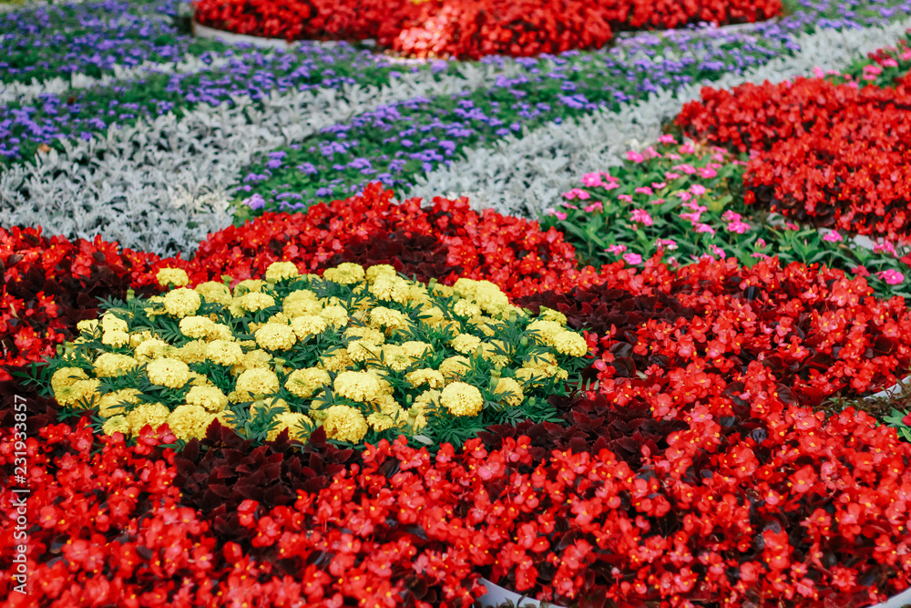 bright flower arrangement in the park