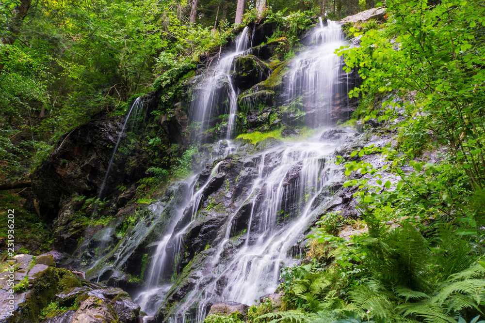 Fototapeta premium Niemcy, Zimny deszcz wodospadu Zweribach niedaleko Freiburga w rezerwacie przyrody Schwarzwald